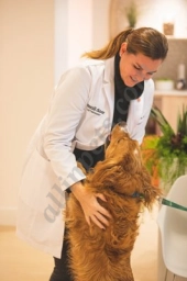 Small Door Veterinary - West Village  puppies for sale