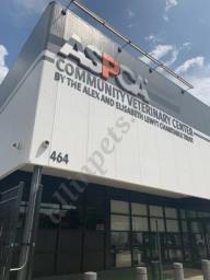 Crown Heights Animal Hospital  puppies for sale