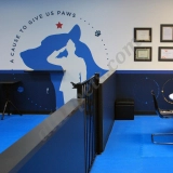 A Cause to "Give Us Paws"