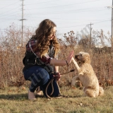 Amy Siracusa Yahr  puppies for sale