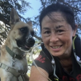 Anna Wong  puppies for sale