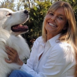Britta's Animal Training  puppies for sale