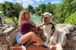 Swifto Dog Walking  puppies for sale