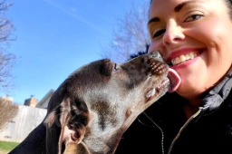 Belleville Dog Walking Co