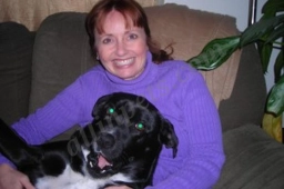Sara's Legacy Pet Sitters / Dog Walkers  puppies for sale