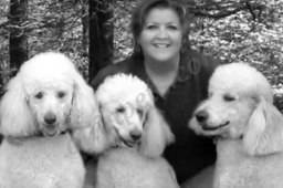 Southern Paws Pet Sitting/Daily Dog Walking  puppies for sale