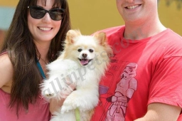 Rocky's Retreat Canine Health & Fitness Center  puppies for sale