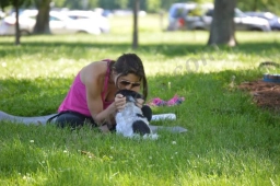 Fitness with Fido  puppies for sale