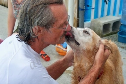 Hip Dog Canine Hydrotherapy & Fitness