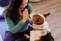 Austin Doga  puppies for sale