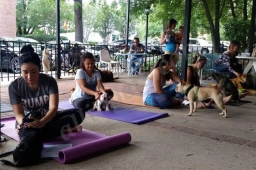 Doga/Sage