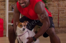 K9 Fit Club  puppies for sale