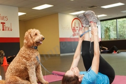 K9 Fit Club Best Friends Pet Clinic  puppies for sale