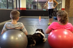 K9 Fit Club Best Friends Pet Clinic  puppies for sale