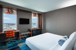 Aloft Boston Seaport District  puppies for sale