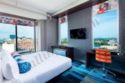 Aloft Boston Seaport District  puppies for sale
