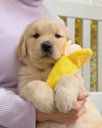 Sisi&amp;#039;s new litters