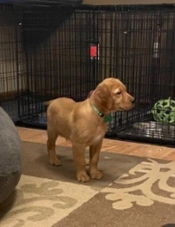 Green Boy