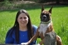 Dog Training  puppies for sale