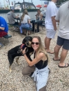 Dog Training  puppies for sale