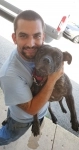 Dog Training  puppies for sale