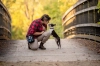 Dog Training  puppies for sale