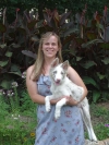 Puppy Training  puppies for sale