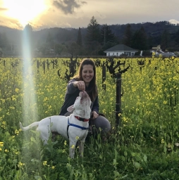 Dog Training  puppies for sale