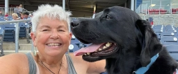 Service Dog Training  puppies for sale