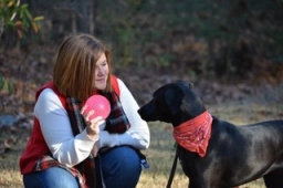 Service Dog Training  puppies for sale