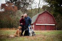 Dog Training  puppies for sale