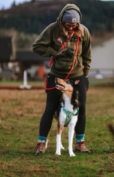 Service Dog Training  puppies for sale