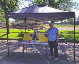 Puppy Training  puppies for sale