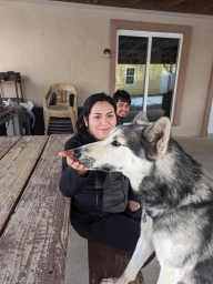 Dog Training  puppies for sale