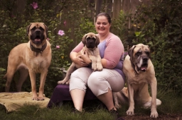 Dog Training  puppies for sale