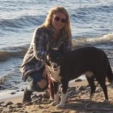 Yappy Hour Clicker Training Academy  puppies for sale