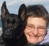 Dog Training  puppies for sale