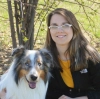 Service Dog Training  puppies for sale
