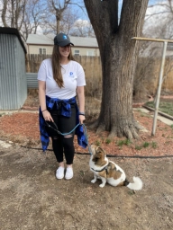 Dog Training  puppies for sale