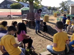 Dog Training  puppies for sale