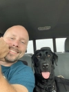 Dog Training  puppies for sale