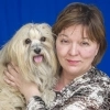 Service Dog Training  puppies for sale