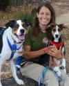 Puppy Training  puppies for sale