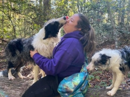 Service Dog Training  puppies for sale
