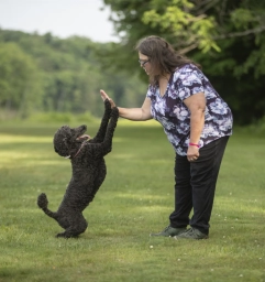 Dog Training  puppies for sale