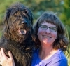 Service Dog Training  puppies for sale