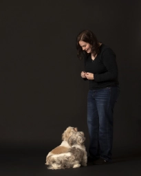 Dog Training  puppies for sale