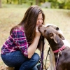 Service Dog Training  puppies for sale