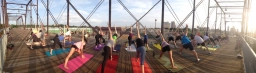 Dog Yoga  puppies for sale