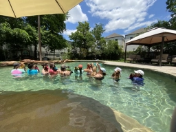 Pet Swimming Lessons  puppies for sale